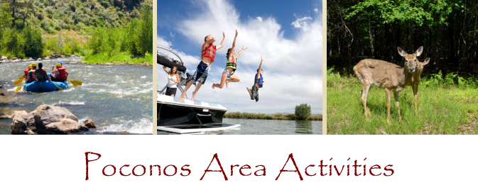 Area Activities/Attractions